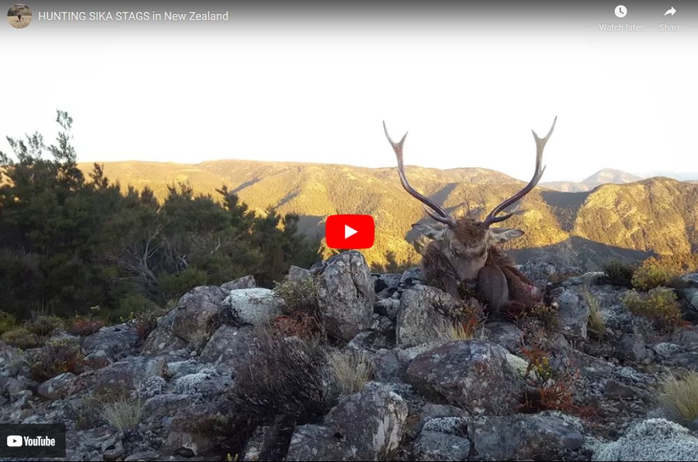 Sika Videos